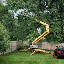 Best Tree Risk Assessment  in Goodrich, MI