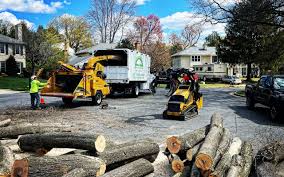 Best Seasonal Cleanup (Spring/Fall)  in Goodrich, MI